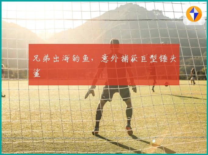 兄弟出海钓鱼，意外捕获巨型锤头鲨