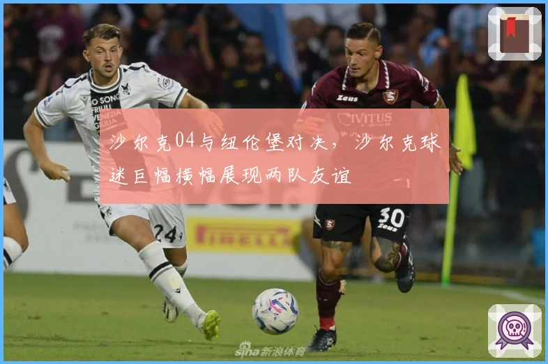 沙尔克04与纽伦堡对决，沙尔克球迷巨幅横幅展现两队友谊