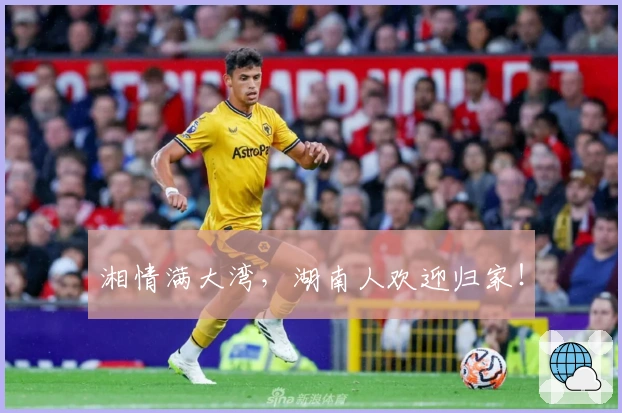 湘情满大湾，湖南人欢迎归家！