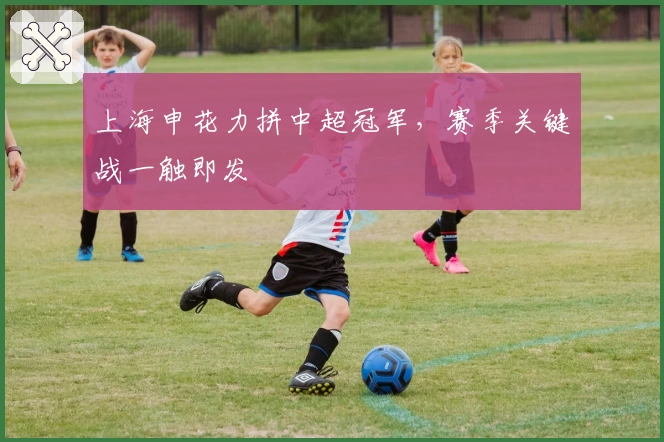 上海申花力拼中超冠军，赛季关键战一触即发